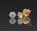 0.81Ct of Earrings With the Purity of 14K