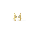 0.024 ct Earrings of 14 KT gold