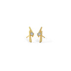 0.024 ct Earrings of 14 KT gold
