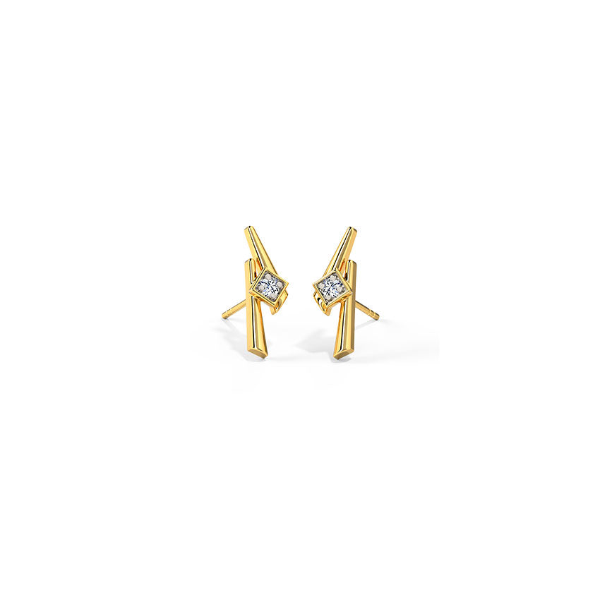 0.024 ct Earrings of 14 KT gold