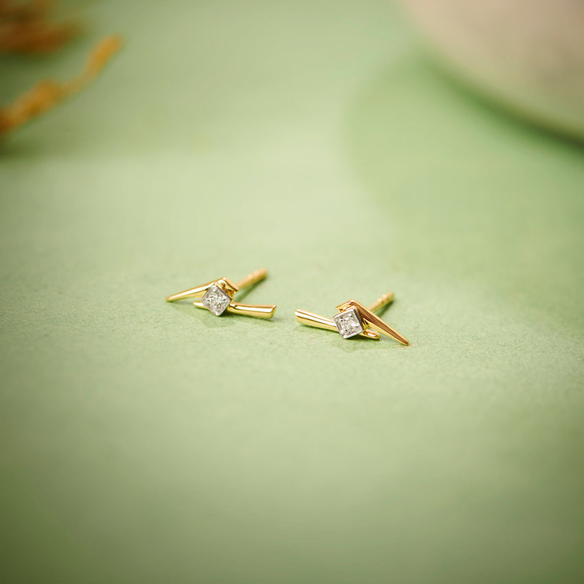 0.024 ct Earrings of 14 KT gold