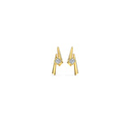 0.024 ct Earrings of 14 KT gold