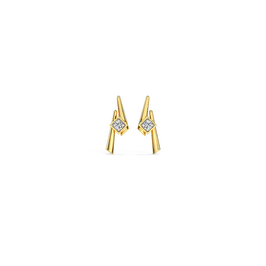 0.024 ct Earrings of 14 KT gold