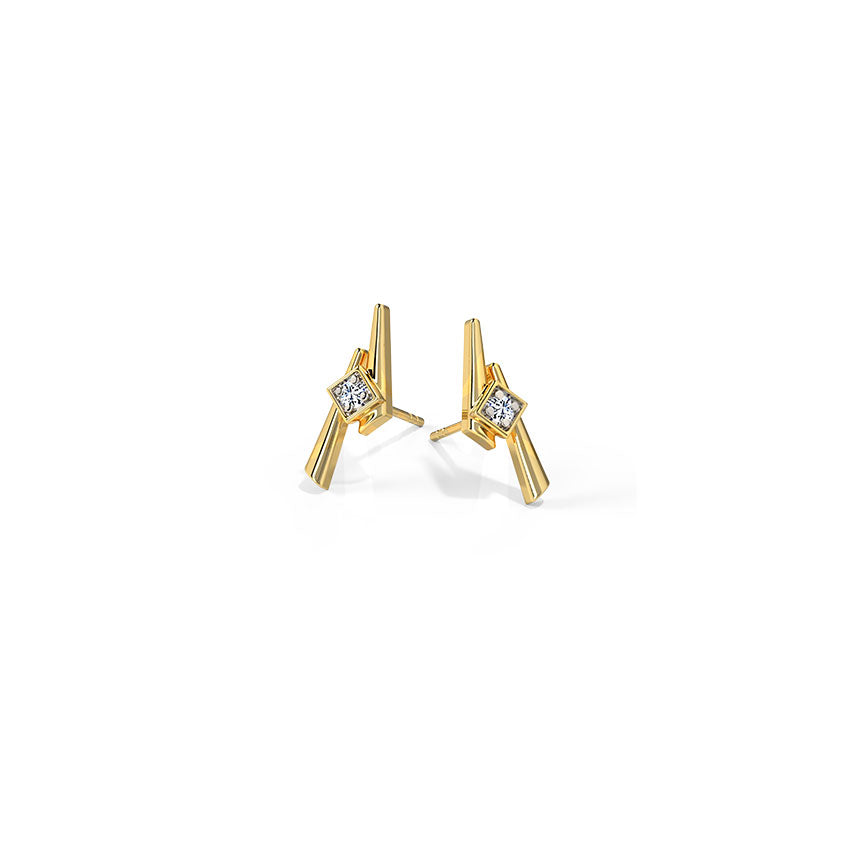 0.024 ct Earrings of 14 KT gold