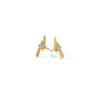 0.024 ct Earrings of 14 KT gold