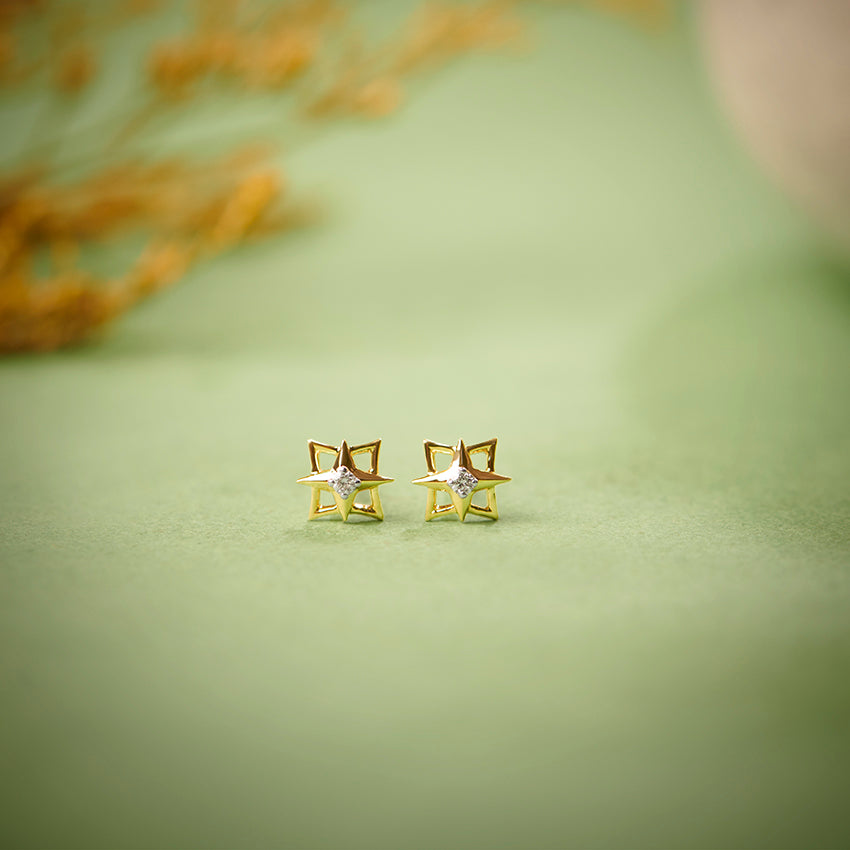 0.027 ct Earrings of 14 KT gold