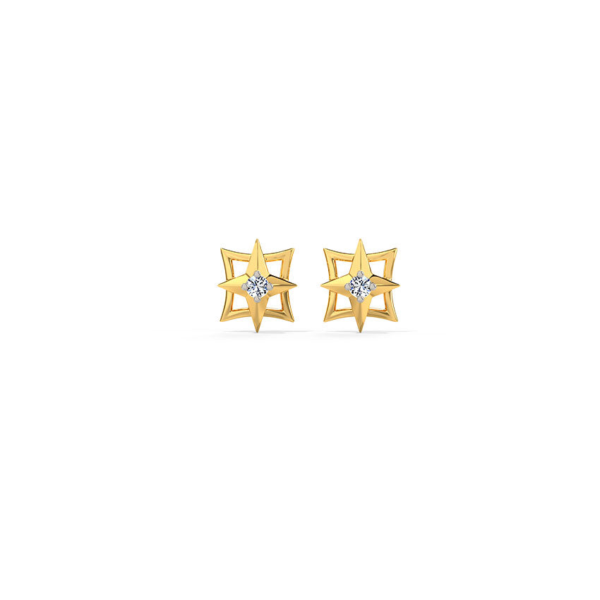 0.027 ct Earrings of 14 KT gold