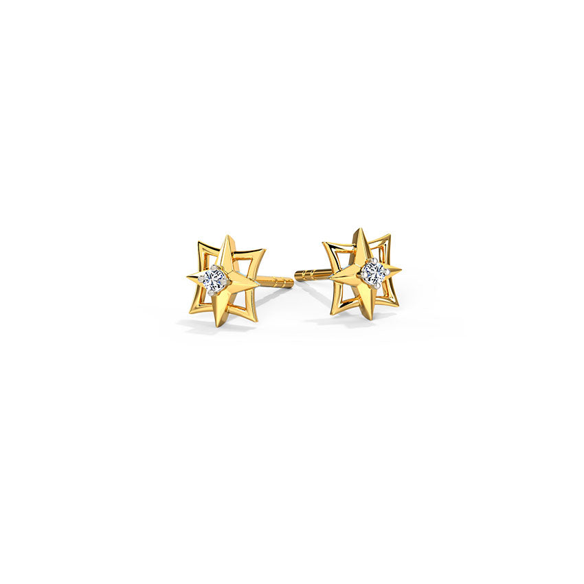 0.027 ct Earrings of 14 KT gold