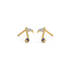 0.021 ct Earrings of 14 KT gold