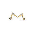 0.021 ct Earrings of 14 KT gold