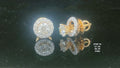 1.75Ct Of Earnings With Purity Of 18K
