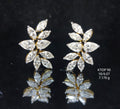 6.07Ct Of Earnings With Purity Of 18K