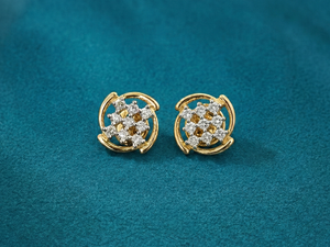 Earrings14K