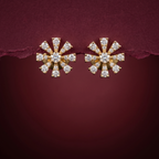 0.53 Ct EARRINGS with the Purity of 18K