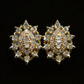 0.74 Ct EARRINGS with the Purity of 18K