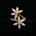 0.72Ct of Ring With the Purity of 18K