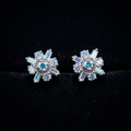 1.1Ct of Earring With the Purity of 18K