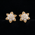 0.5Ct of Earring With the Purity of 18K