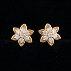 0.5Ct of Earring With the Purity of 18K